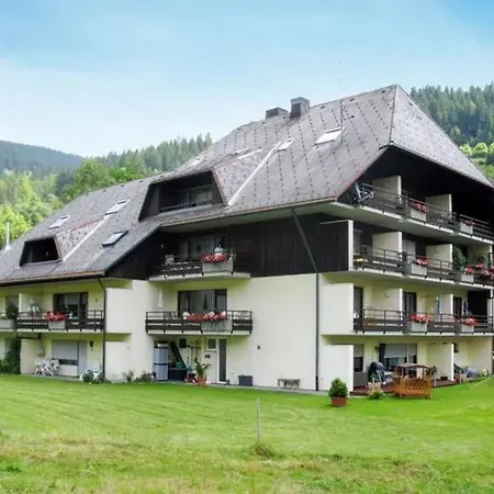 Διαμέρισμα Schwinbachblick Mit 2 Balkonen St. Blasien