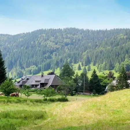 Appartement Schwinbachblick Mit 2 Balkonen St. Blasien