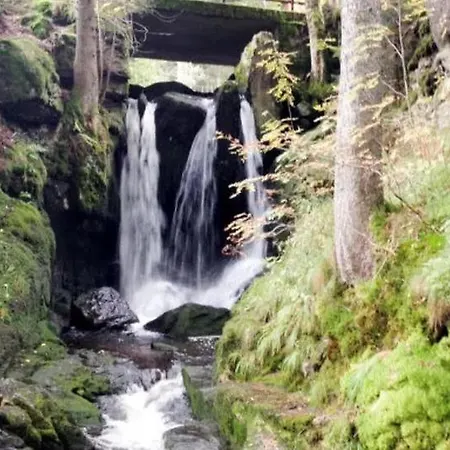 Schwinbachblick Mit 2 Balkonen * St. Blasien