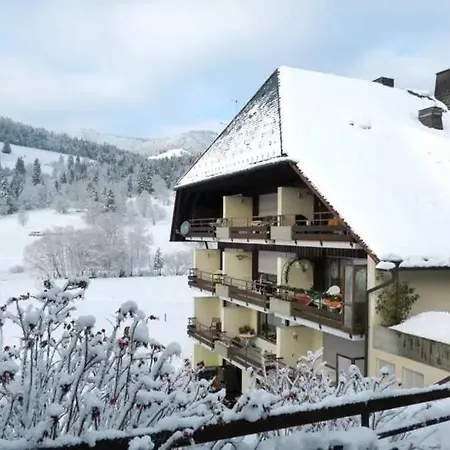 Appartement Schwinbachblick Mit 2 Balkonen St. Blasien