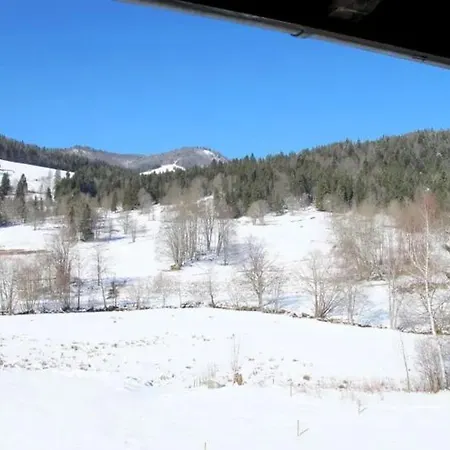 Apartment Schwinbachblick Mit 2 Balkonen St. Blasien
