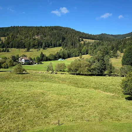 Apartment Schwinbachblick Mit 2 Balkonen St. Blasien