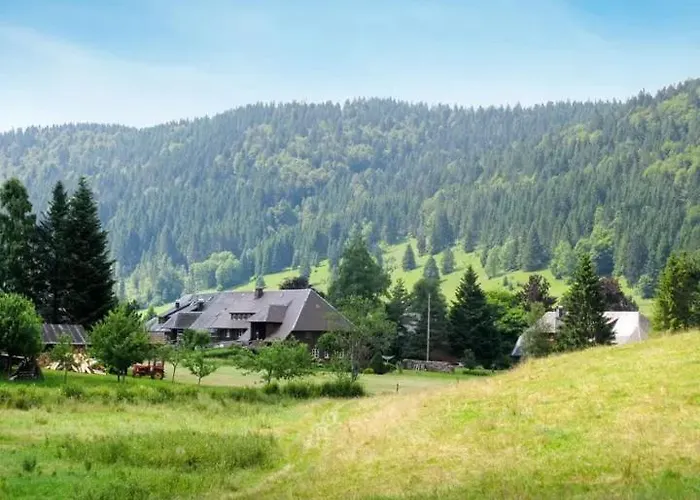 Апартаменты Schwinbachblick Mit 2 Balkonen Санкт-Блазиен