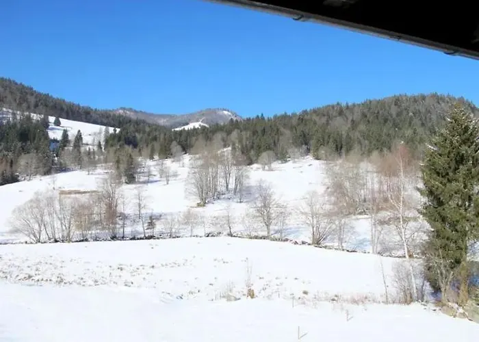 Апартаменты Schwinbachblick Mit 2 Balkonen Санкт-Блазиен