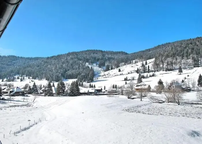 Апартаменты Schwinbachblick Mit 2 Balkonen Санкт-Блазиен