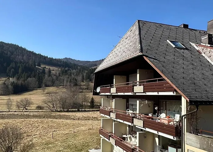 Апартаменты Schwinbachblick Mit 2 Balkonen Санкт-Блазиен